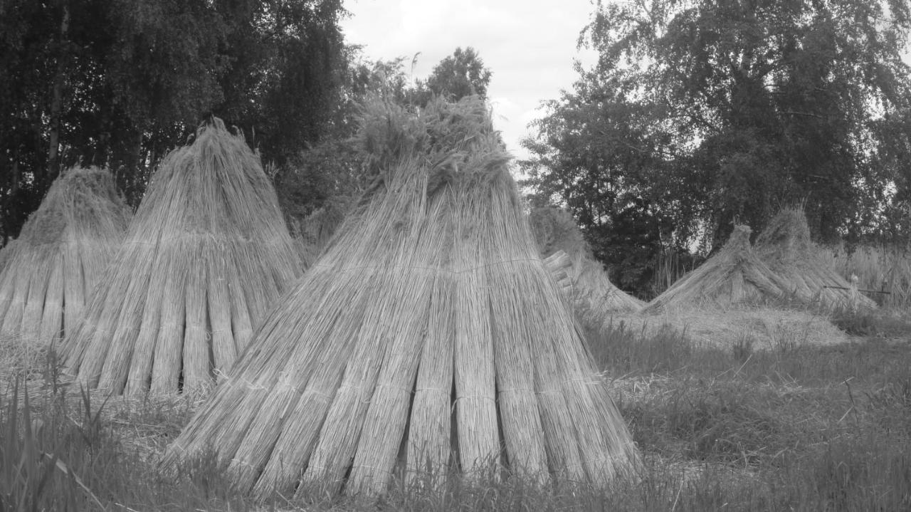 ガガー Insel Landhaus Bernsteinヴィラ エクステリア 写真