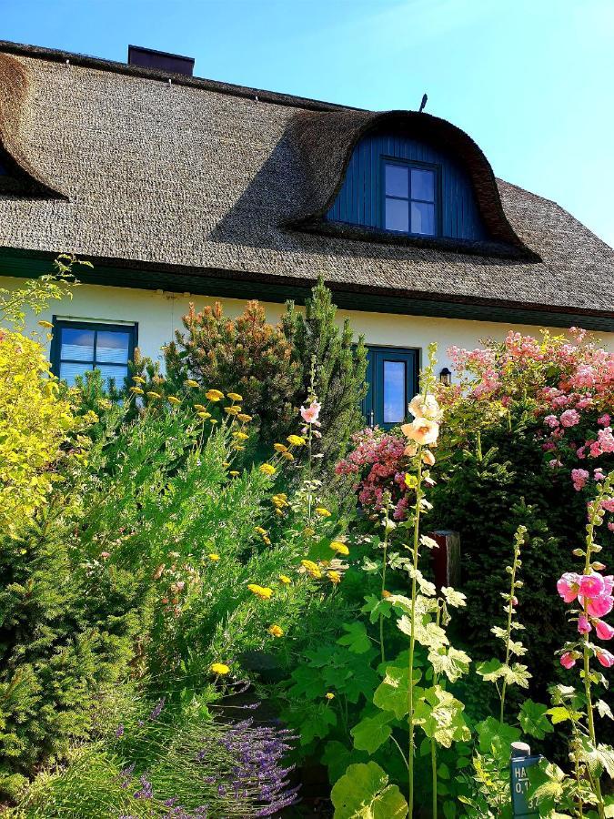 ガガー Insel Landhaus Bernsteinヴィラ エクステリア 写真